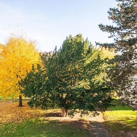 Appartement 4 Personnes 3 Chambres Tout Confort Bonsecours Bagian luar foto